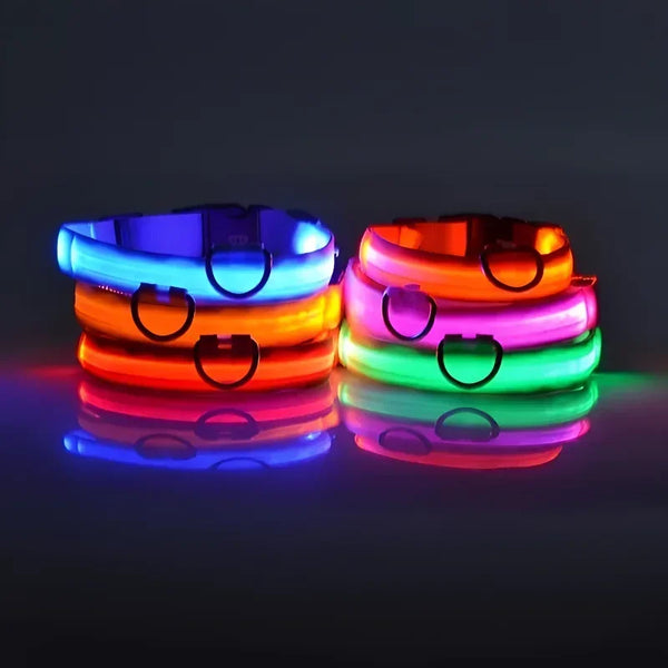 Dog-Collar-Nylon-LED-Night-Safety-Flashing-Glow-In-The-Dark-Pet-Dog-Leash-pet-Dogs.jpg