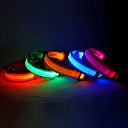 Glow-in-the-Dark Dog Collar