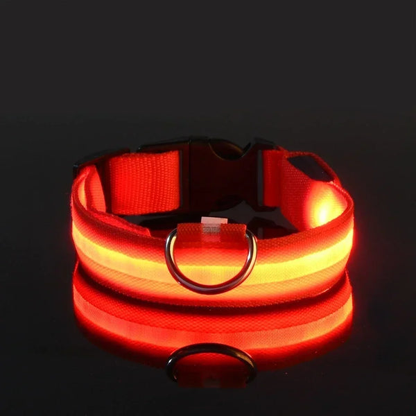 Dog-Collar-Nylon-LED-Night-Safety-Flashing-Glow-In-The-Dark-Pet-Dog-Leash-pet-Dogs.jpg