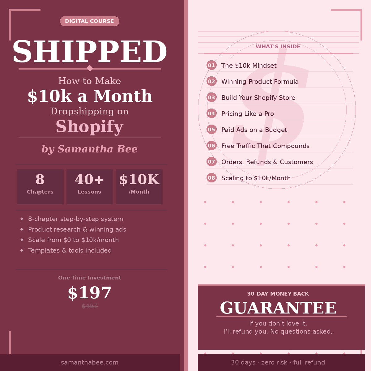 Dropship Simple — The Beginner's Guide to $10k/Month on Shopify